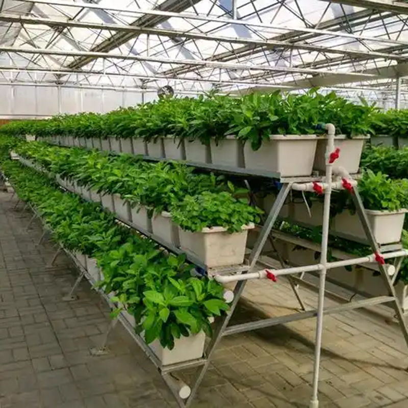 伊春市植物工厂蔬菜大棚 - 排名